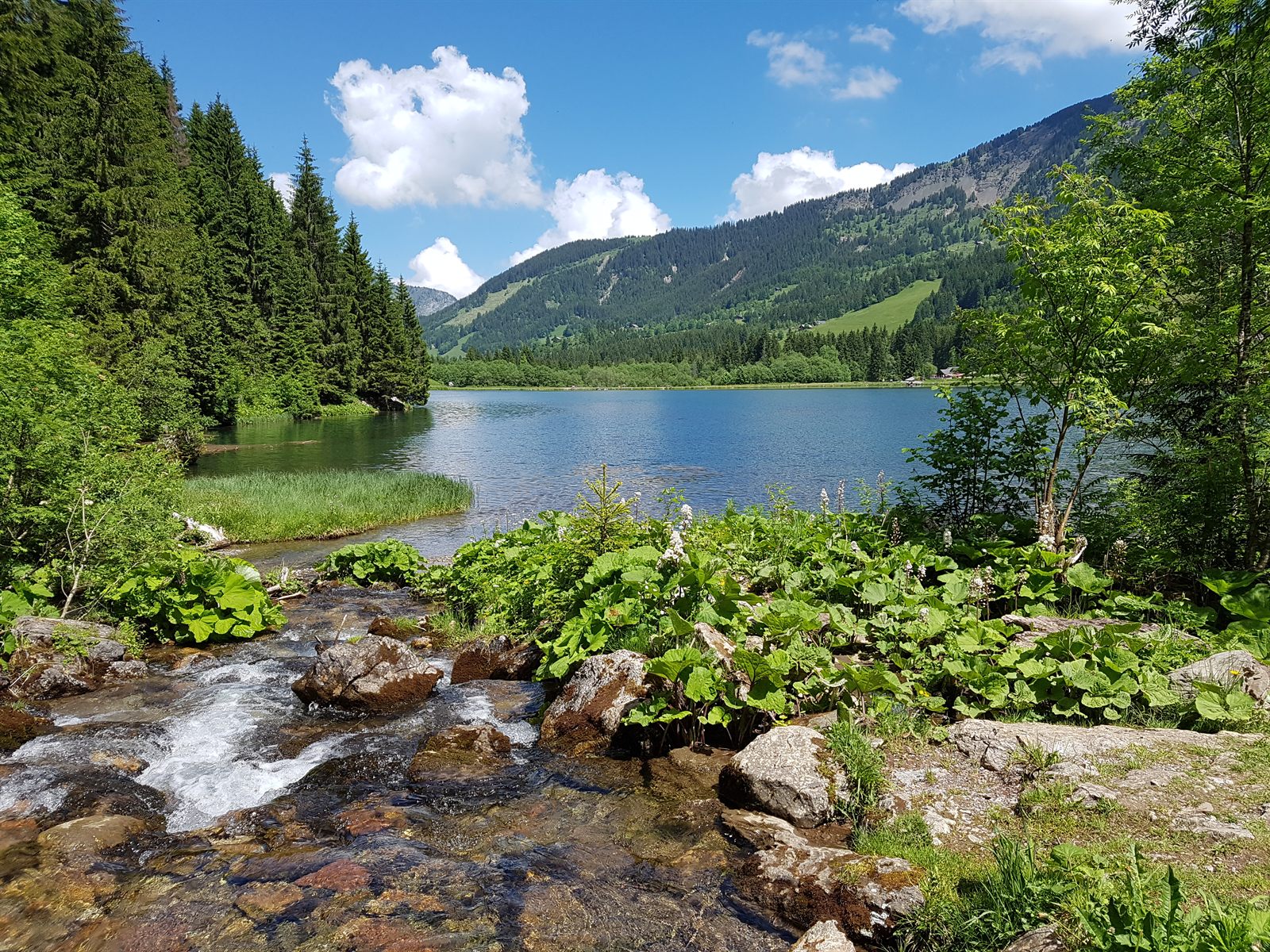 Lac des Plagnes